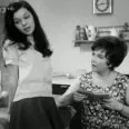 Ententýny (1971)