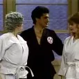 Mama's Family (1983-1990) - Chuck, Karate Instructor