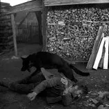 Černý vlk (1971) - dřevorubec Franěk