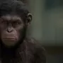 Rise of the Planet of the Apes (2011) - Caesar