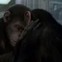 Zrodenie Planéty opíc (2011) - Cornelia - Ape
