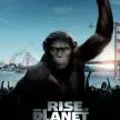 Zrodenie Planéty opíc (2011) - Caesar