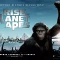 Zrodenie Planéty opíc (2011) - Caesar