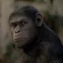 Rise of the Planet of the Apes (2011) - Caesar