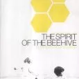 Duch včelieho úľa
										(festivalový název) (1973) - Ana