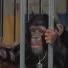 Útek z planéty opíc (1971) - Talking Baby Chimp