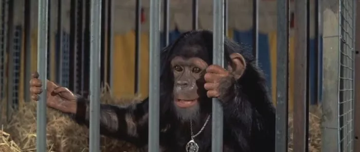 Walker Edmiston (Talking Baby Chimp) zdroj: imdb.com