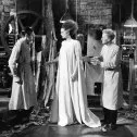 Frankensteinova nevesta (1935) - Henry Frankenstein