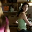 Desperate Housewives (2004-2012) - Susan Mayer