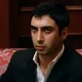 Kurtlar Vadisi (2003-2005) - Polat Alemdar