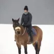 Znamení koně (2011) - Klára Horová