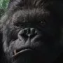 King Kong (2005) - Kong