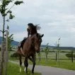 Znamení koně (2011)