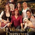 12 Wishes of Christmas (2011)
