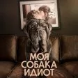 Môj pes Hlupák (2019) - Henri Mohen
