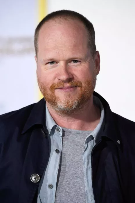 Joss Whedon zdroj: imdb.com 
promo k filmu
