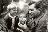 Pieseň o sivom holubovi (1961) -  Rudko Hrudka