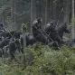 Dawn of the Planet of the Apes (2014) - Koba