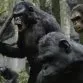 Dawn of the Planet of the Apes (2014) - Stone