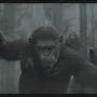 Úsvit planéty opíc (2014) - Rocket