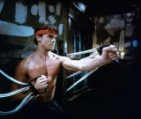 Karate tiger 1: Neustupuj, nevzdávej se (1985) - Jason Stillwell