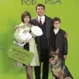 Báječná léta pod psa (1997) - Kvido (boy)