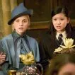 Harry Potter a Ohnivý pohár (2005) - Cho Chang