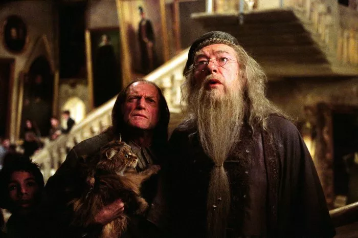 Michael Gambon (Albus Dumbledore), David Bradley (Argus Filch), Rick Sahota zdroj: imdb.com