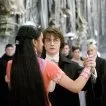 Harry Potter a Ohnivá čaša (2005) - Parvati Patil
