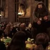 Harry Potter a tajomná komnata (2002) - Oliver Wood