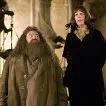 Harry Potter a Ohnivý pohár (2005) - Madame Olympe Maxime