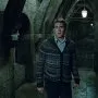 Harry Potter a Relikvie smrti - část 2 (2011) - Neville Longbottom