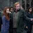 Harry Potter a Relikvie smrti - část 2 (2011) - Arthur Weasley