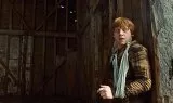 Harry Potter a Relikvie smrti – část 1 (2010) - Ron Weasley