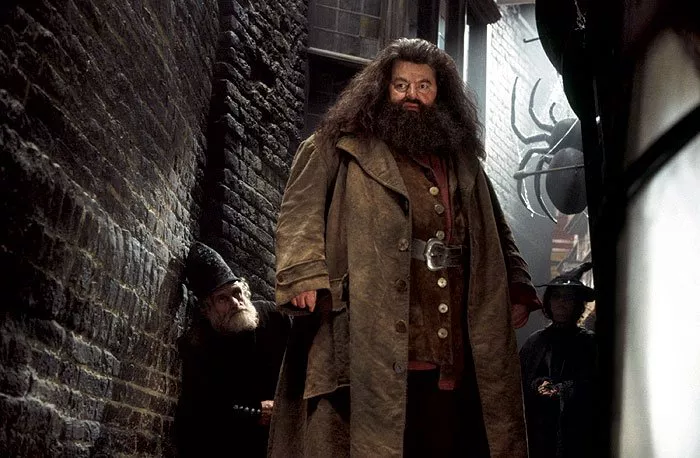 Robbie Coltrane (Hagrid The Giant)