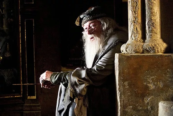 Michael Gambon (Albus Dumbledore)