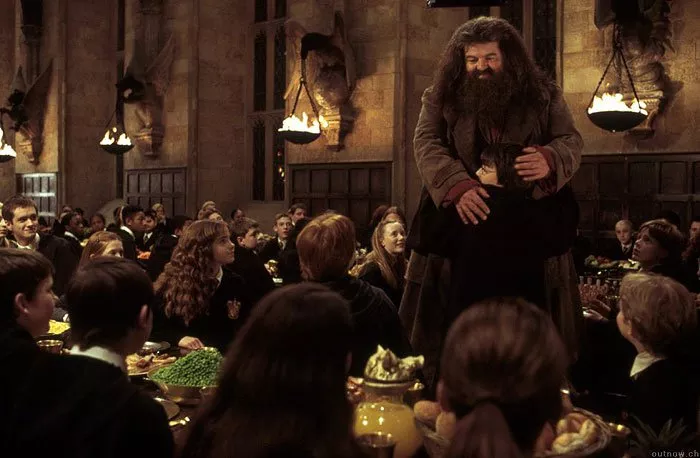 Sean Biggerstaff (Oliver Wood), Emma Watson (Hermione Granger), Robbie Coltrane (Hagrid The Giant)