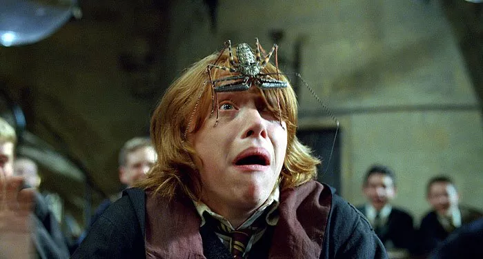 Rupert Grint (Ron Weasley)