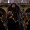 Harry Potter a tajomná komnata (2002) - Hagrid The Giant