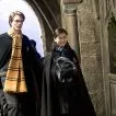 Harry Potter a Ohnivá čaša (2005) - Cho Chang