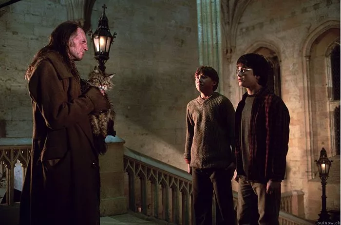 David Bradley (Argus Filch), Rupert Grint (Ron Weasley), Daniel Radcliffe (Harry Potter)