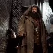 Harry Potter a Tajemná komnata (2002) - Hagrid The Giant