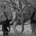 Tarzan's Secret Treasure (1941) - Boy