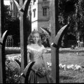 Pyšná princezná (1952) - Princess Krasomila