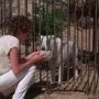 Bílý pes (1982) - Julie Sawyer