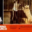 Bílý pes (1982) - Keys