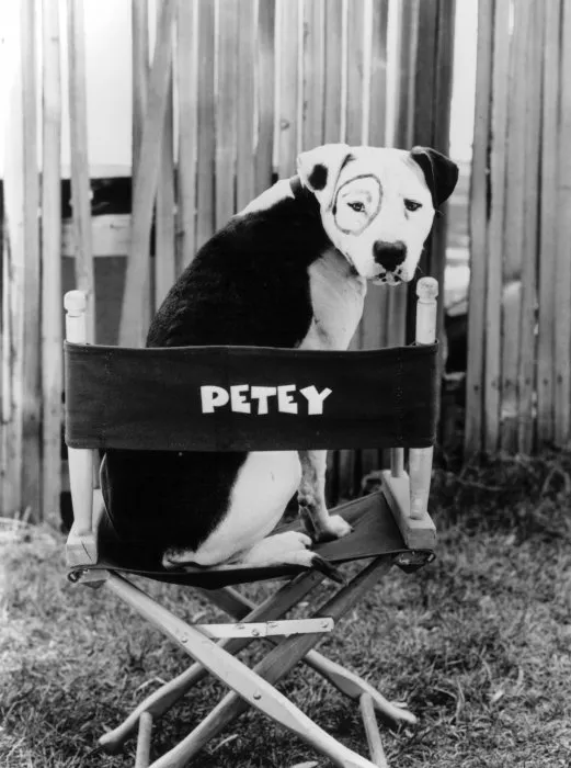 Petey (Petey) zdroj: imdb.com