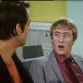 Only Fools and Horses.... (1981-2003) - Rodney Trotter