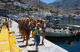 Boat Trip (2002) - Inga