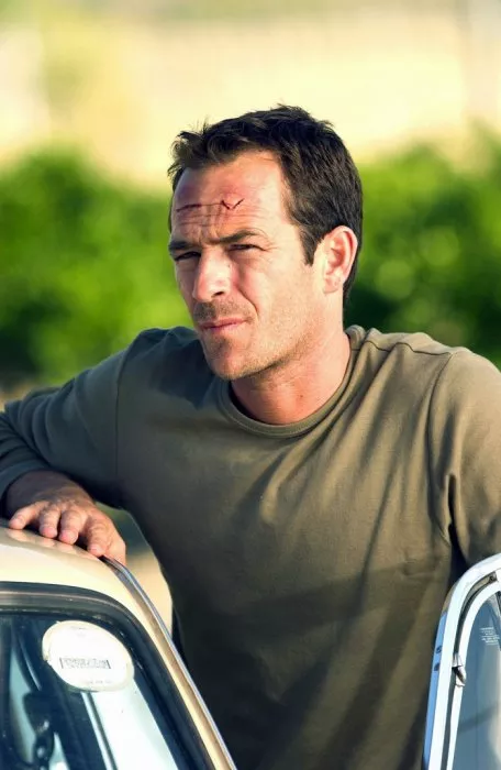 Luke Perry (Dr. Chris Richardson)